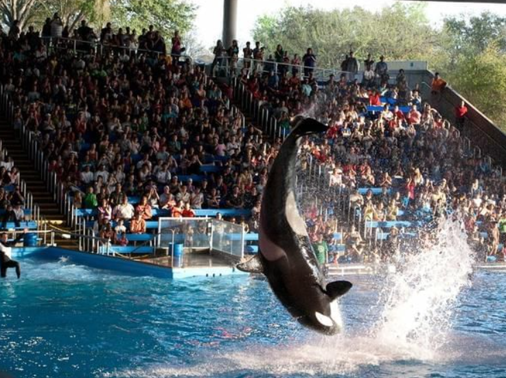 SeaWorld San Antonio, United States